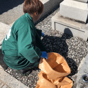 雑草の除去